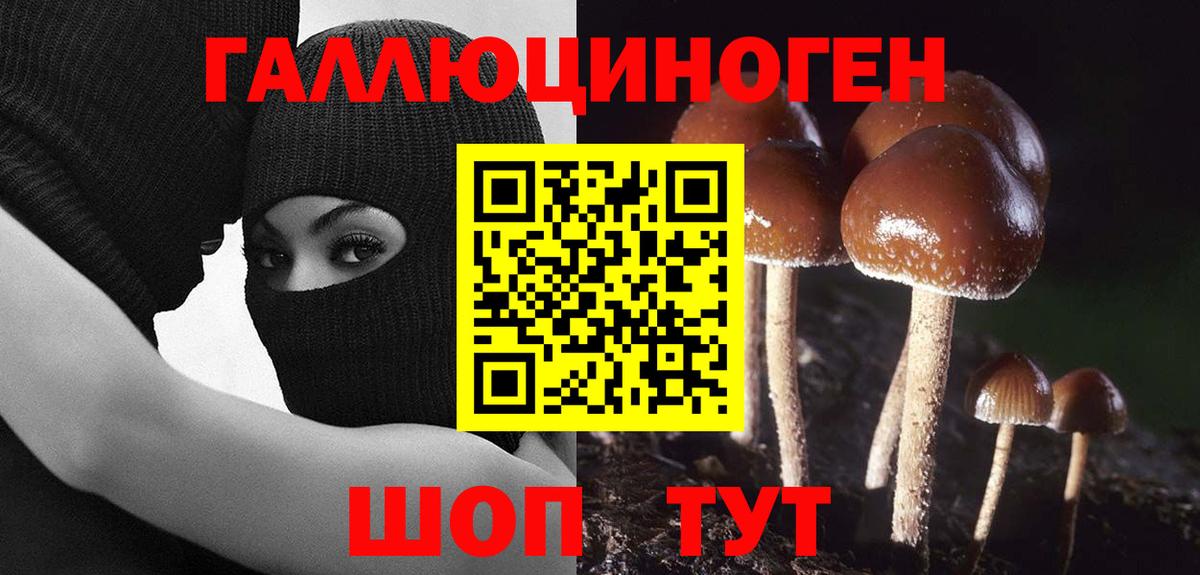 Галлюциногенные грибы Psilocybe  Вход с VPN  Балашов  Галлюциногенные грибы мухоморы 