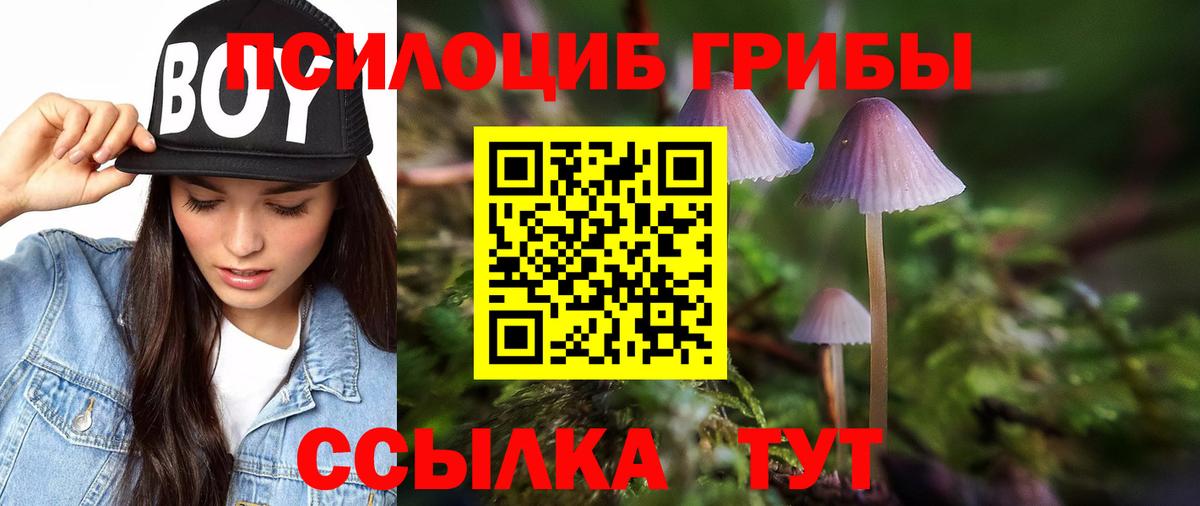 Псилоцибиновые грибы мухоморы Балашов
